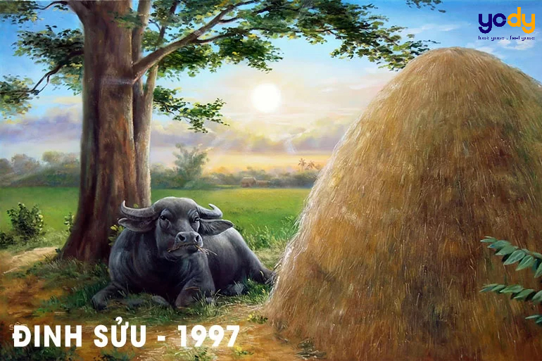 1997 bao nhiêu tuổi?