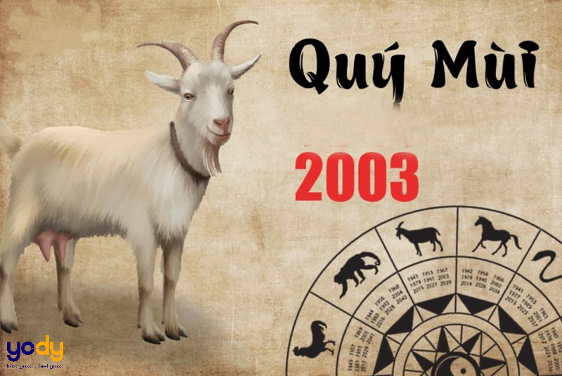 2003 tuổi con gì? Giải mã từ A - Z tuổi 2003