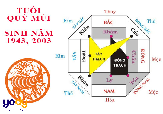 2003 tuổi con gì? Giải mã từ A - Z tuổi 2003