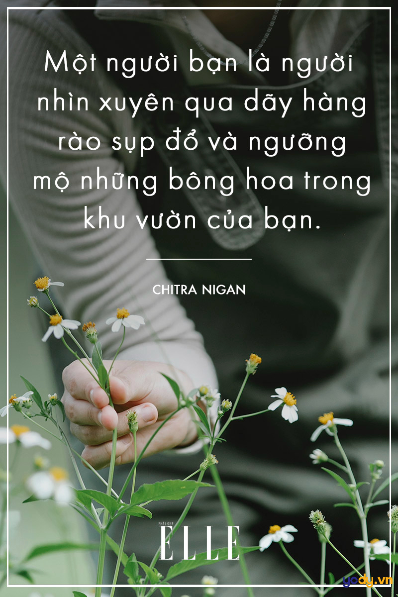 những câu nói hay về tình bạn chân thành