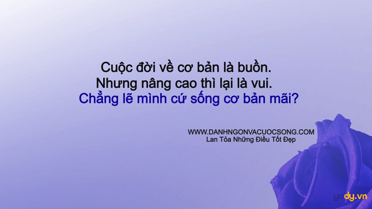 danh ngôn cuộc sống