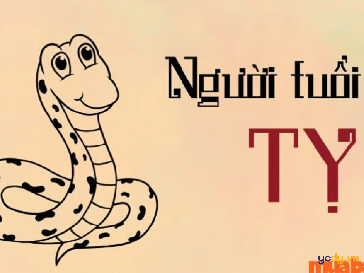 tử vi của người sinh giờ dậu