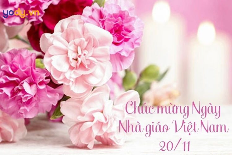 hình ảnh đẹp về thầy cô giáo 20 11