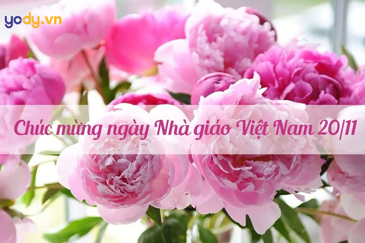 hình ảnh đẹp về thầy cô giáo 20 tháng 11