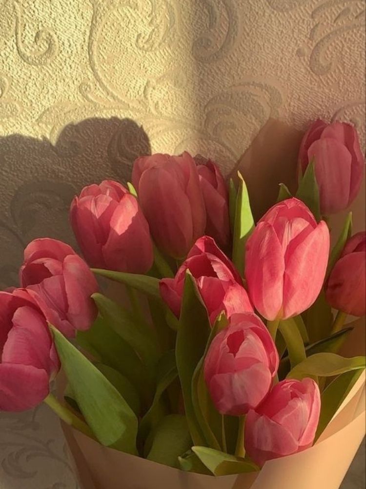 Hình nền hoa Tulip cho điện thoại