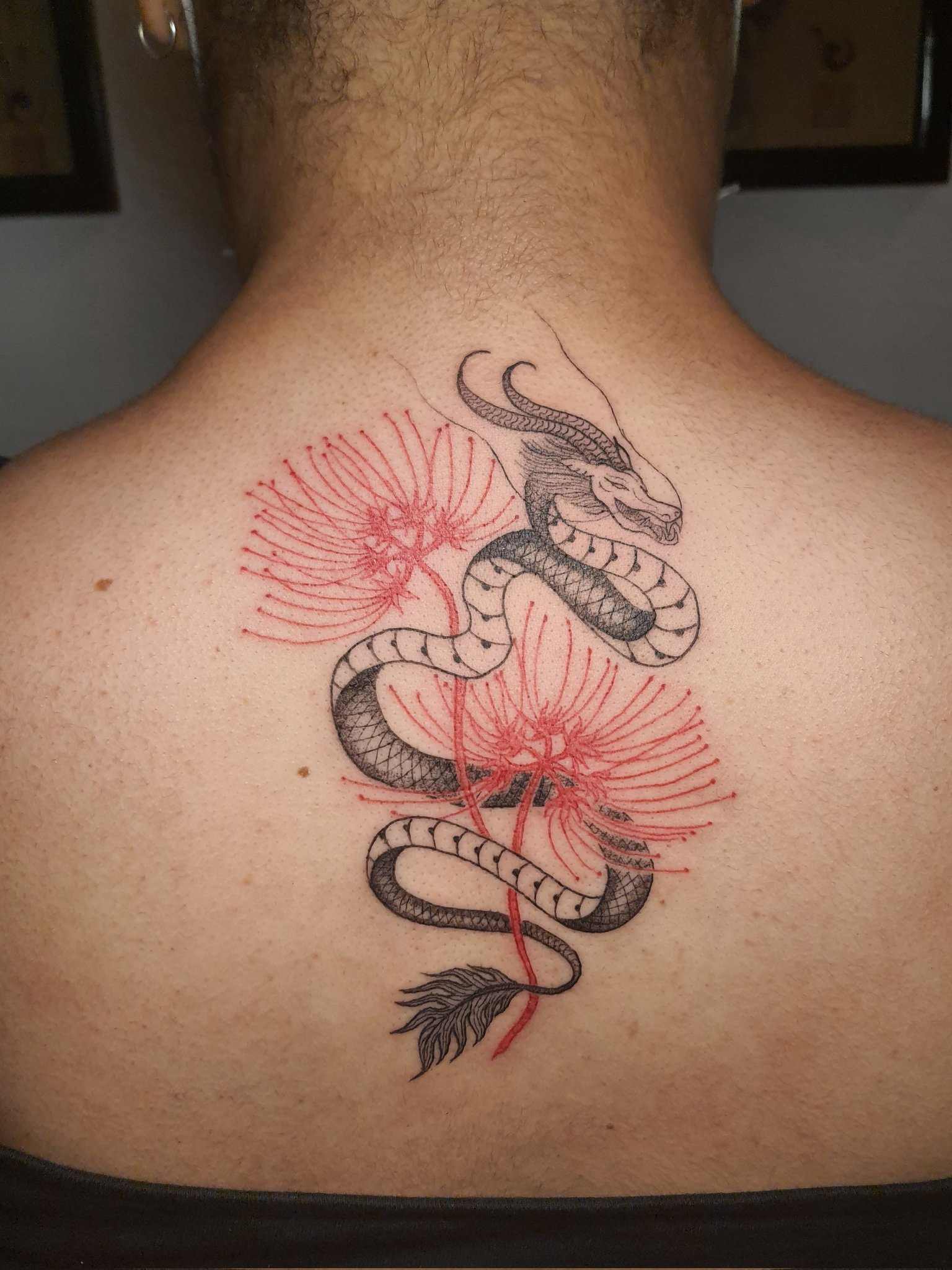 Tattoo hình xăm hoa bỉ ngạn với rồng ý nghĩa