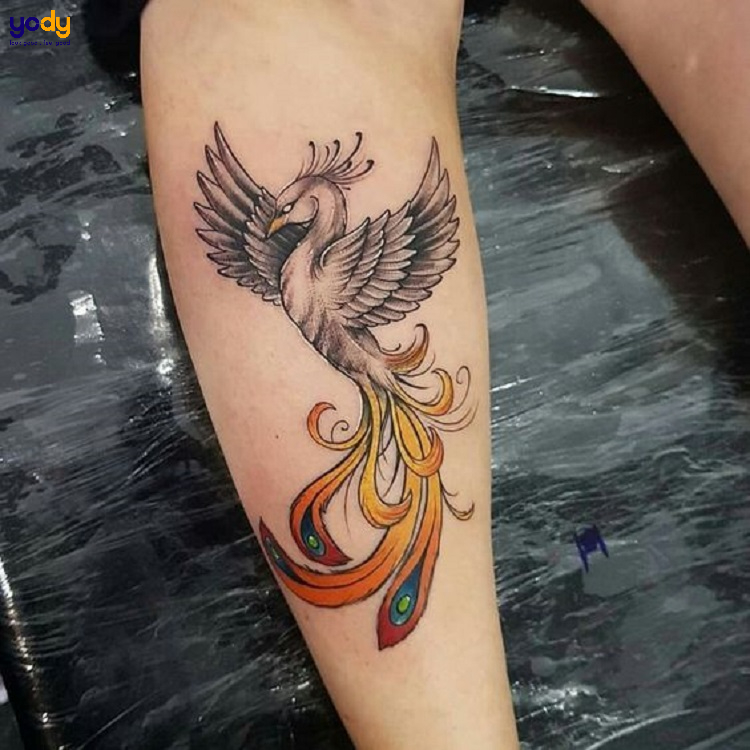 TIP bảo quả tattoo phượng hoàng