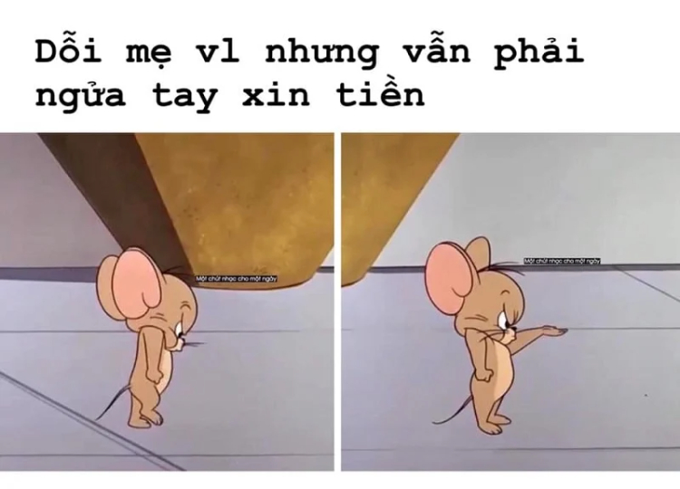 Ảnh Jerry meme đáng yêu