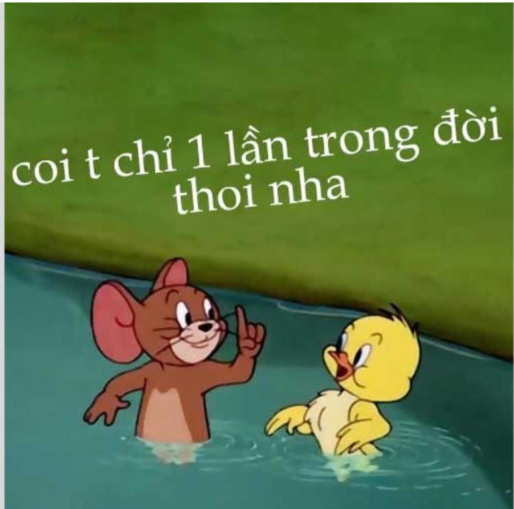 Ảnh Jerry meme đăng bình luận