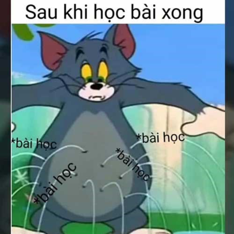 Ảnh meme mèo Tôm độc đáo