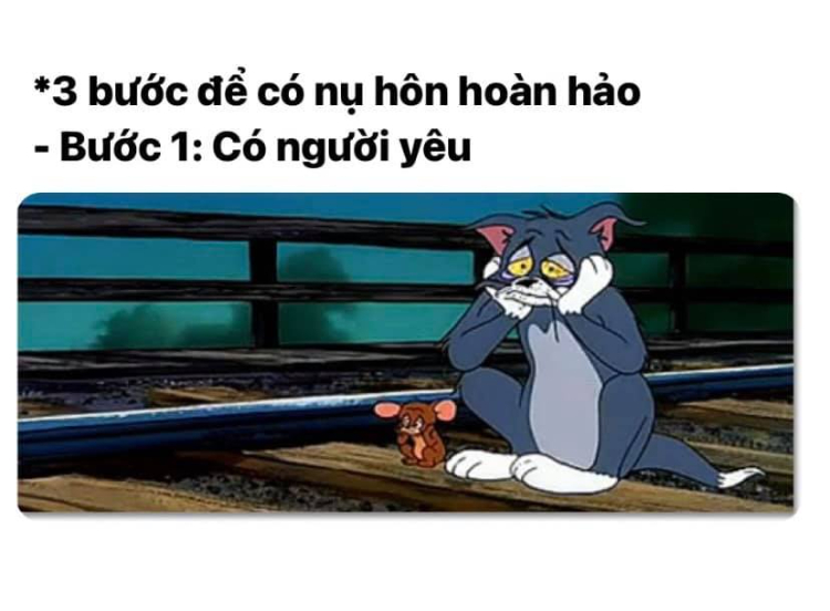 Ảnh meme mèo Tôm cho người FA