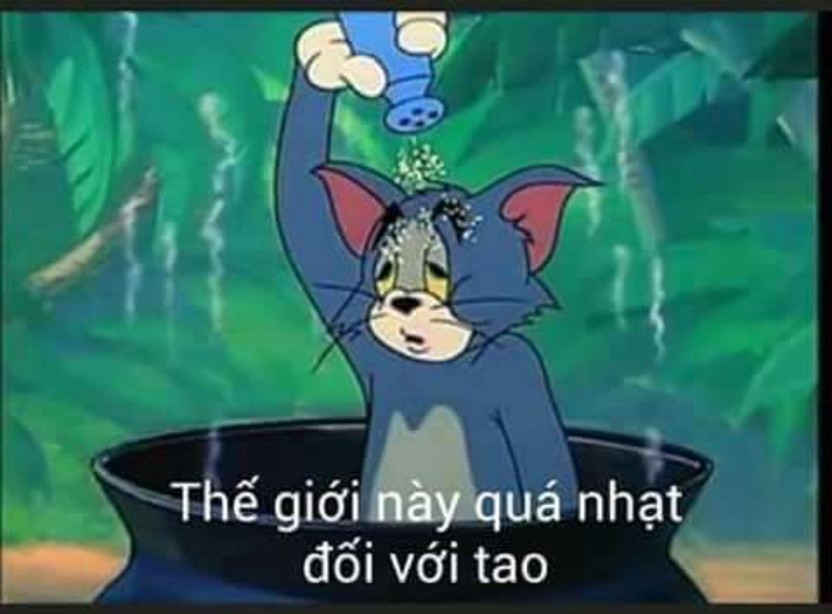 Ảnh meme mèo Tôm "mặn"