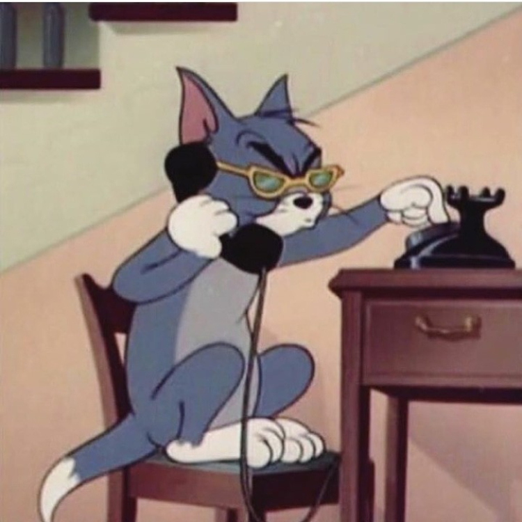 Meme Tom and Jerry cool ngầu