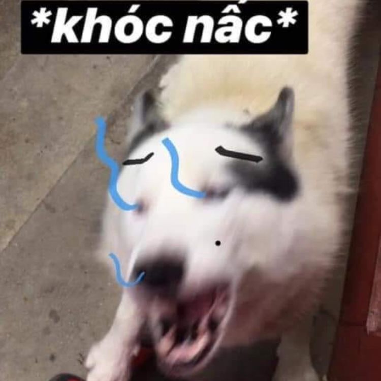 meme khóc nấc