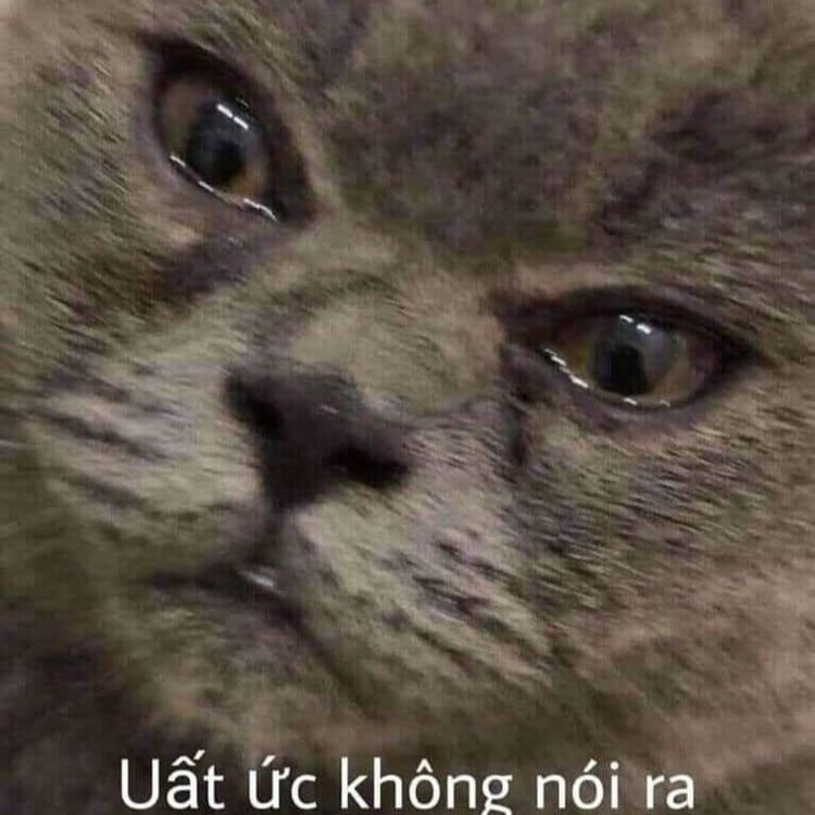 meme Uất ức không nói ra