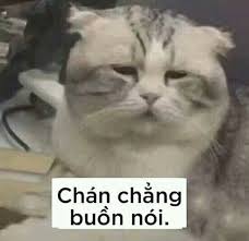 meme buồn