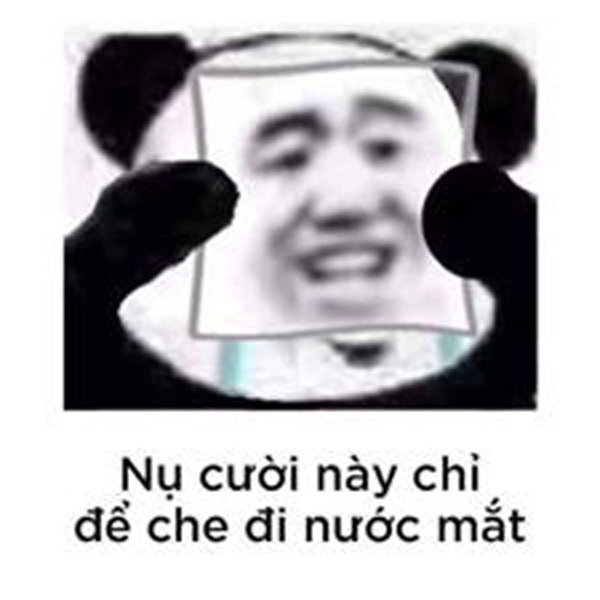 meme buồn