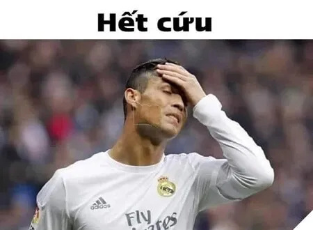 Meme hết cứu là gì?