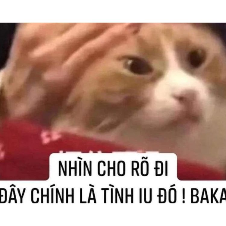 Meme tình yêu hài hước