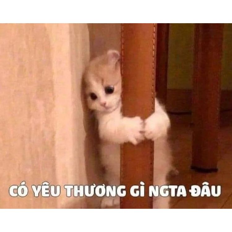 Có yêu thương gì người ta đâu