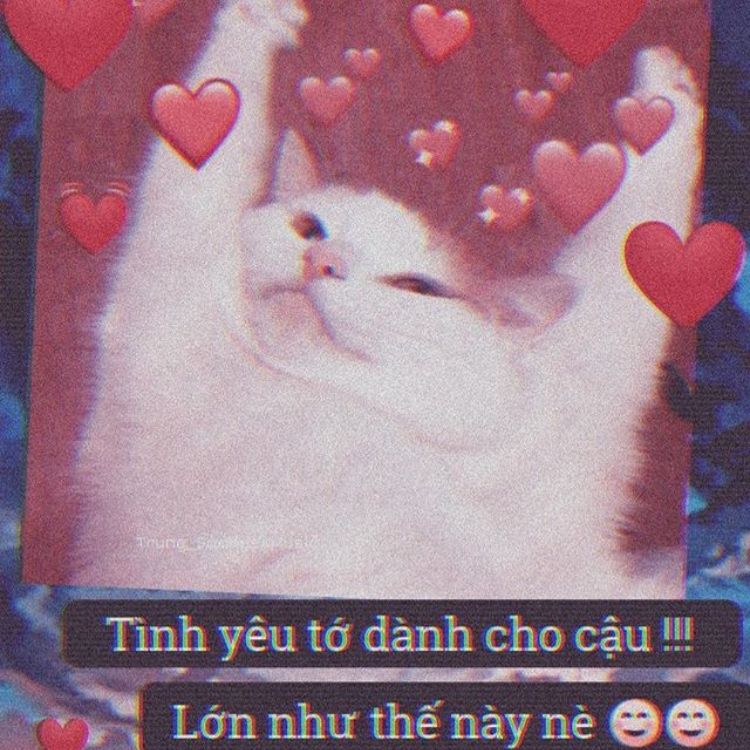 Meme tình yêu to lớn