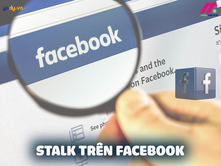 stalk facebook là gì