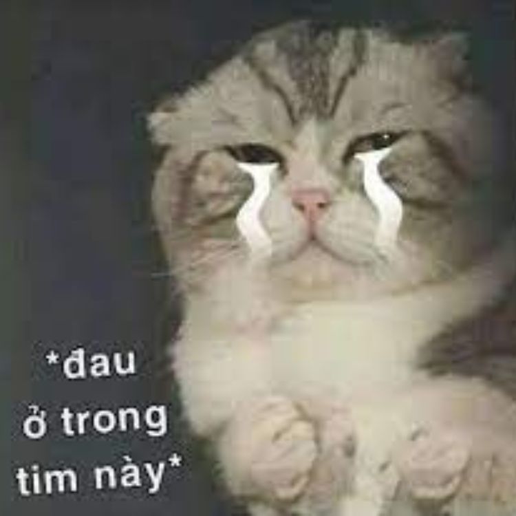 meme Đau ở đây này