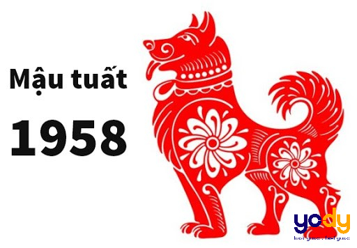 1960 tuổi gì?