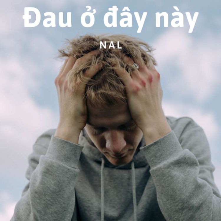 “Đau ở đây này” meme