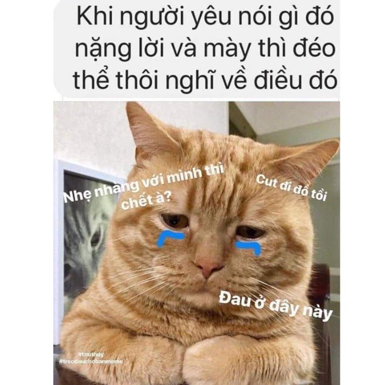 “Đau ở đây này” meme