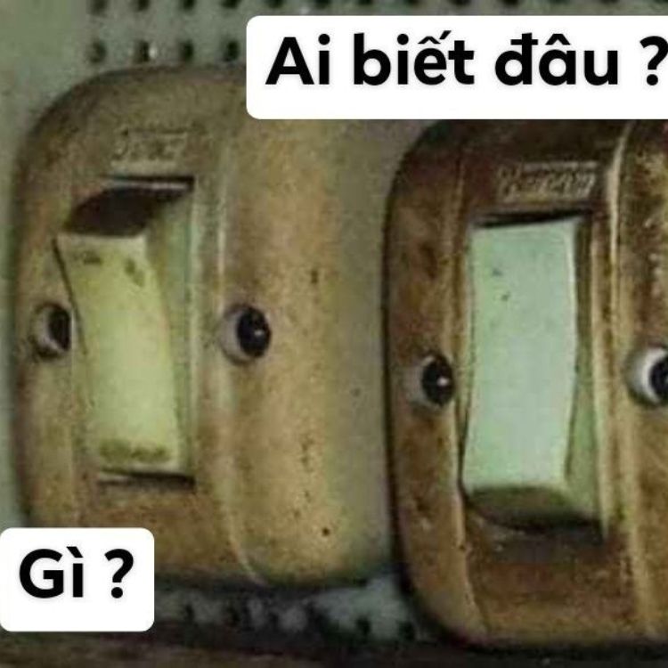 “meme ai biết gì đâu”