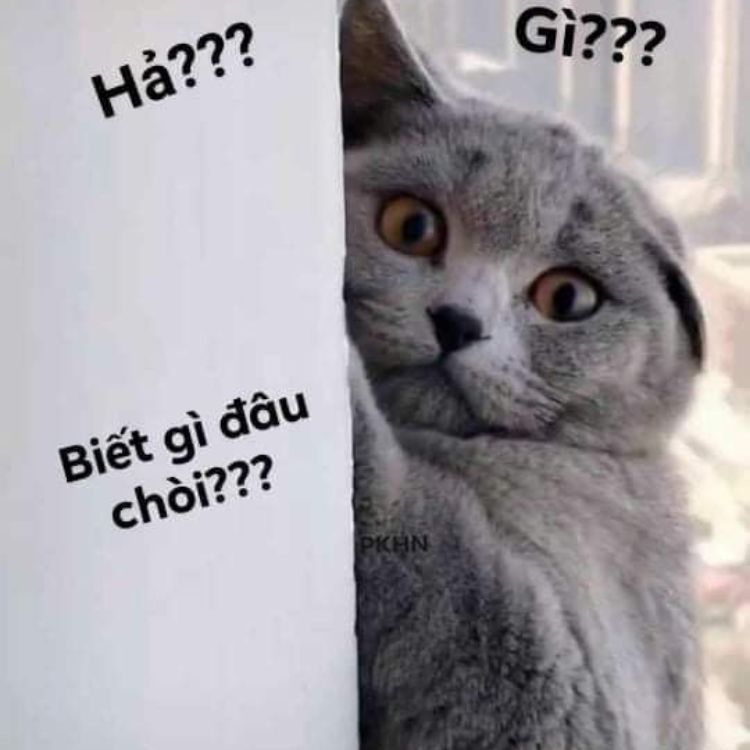 Nguồn gốc “meme ai biết gì đâu”