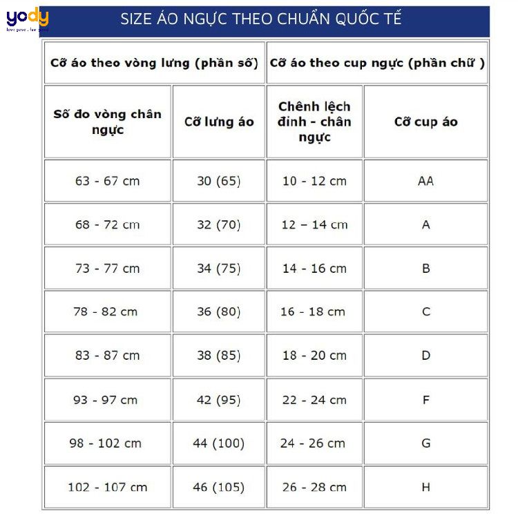 Áo kiểu cúp ngực D