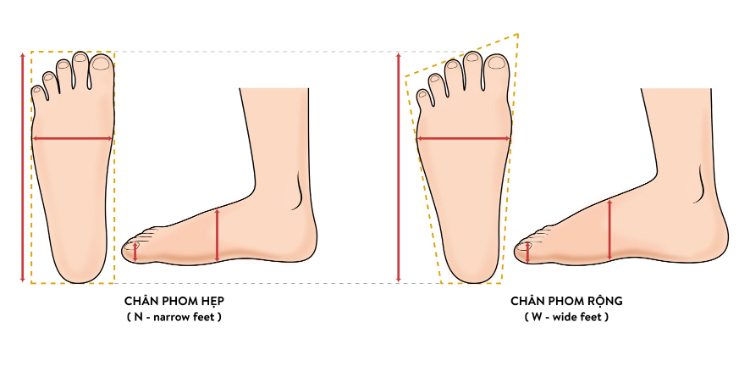 Sự khác nhau giữa chân phom rộng và hẹp