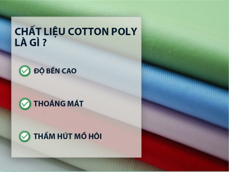 Vải cotton poly là gì?