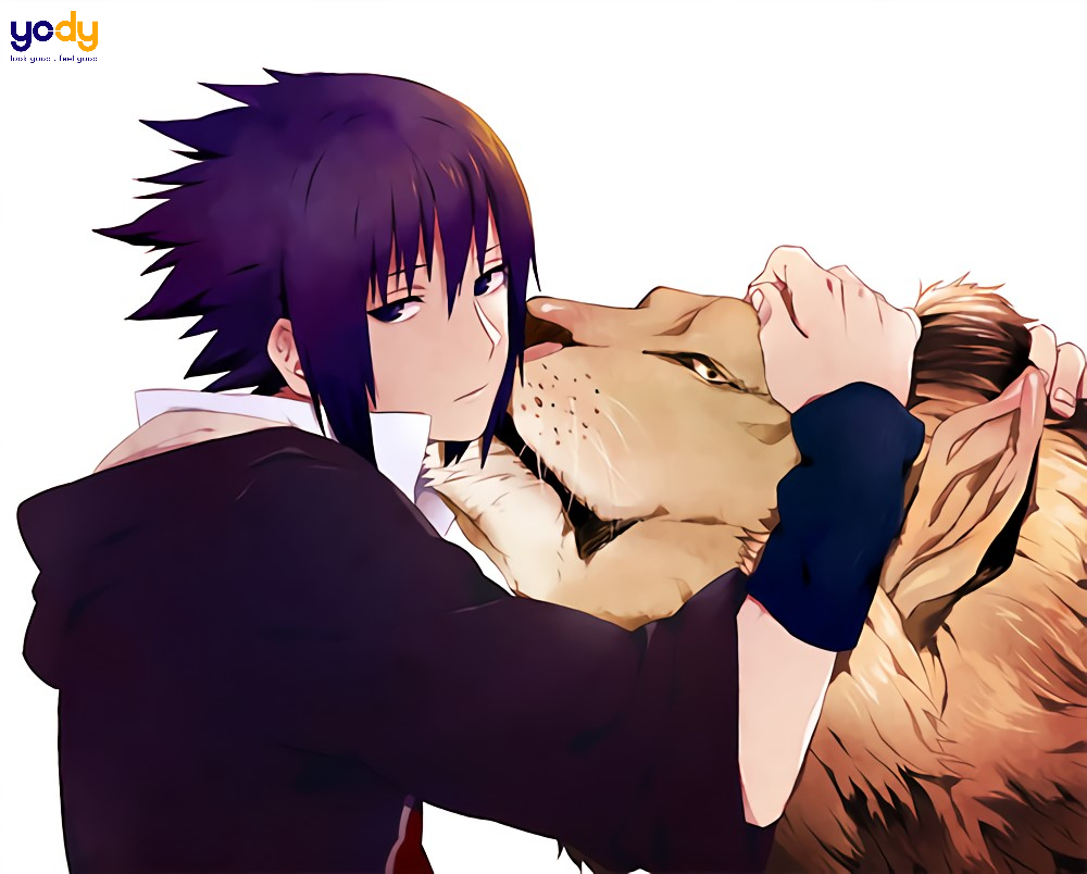 hình ảnh cung sư tử anime