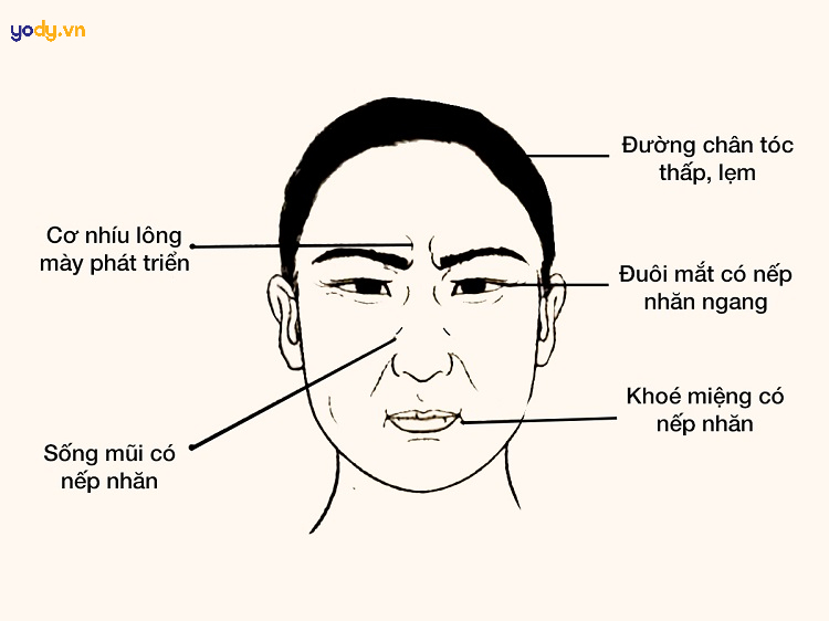 Tướng mặt đàn ông vất vả