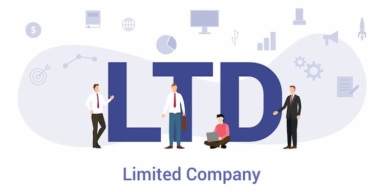 Limited company