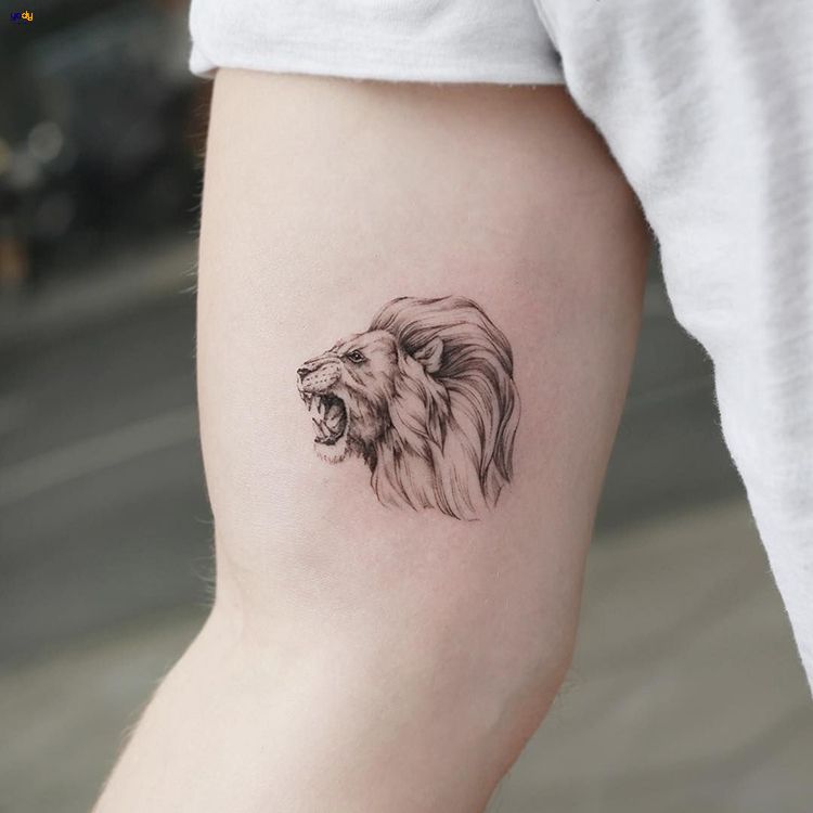 Tattoo sư tử mini giận dữ