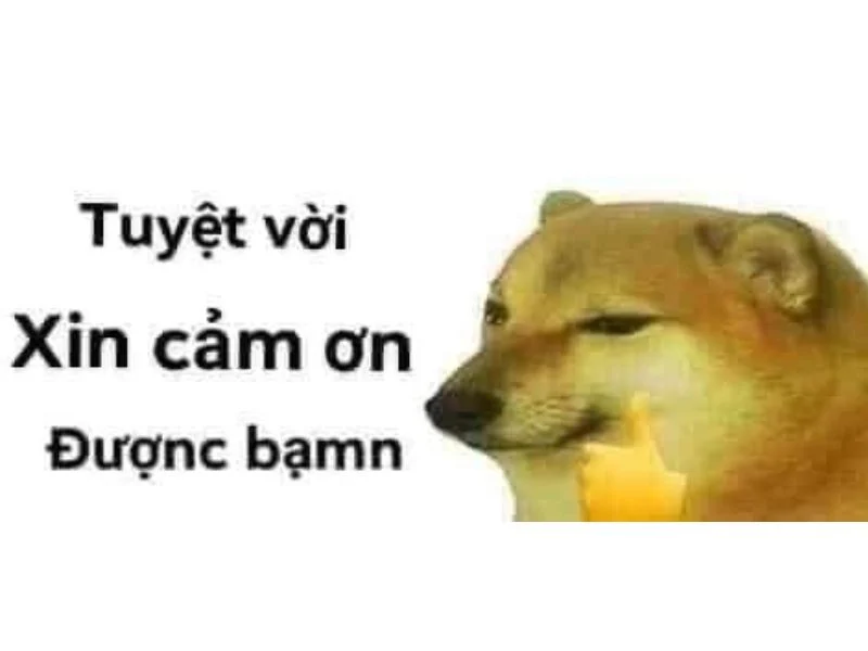 meme cảm ơn