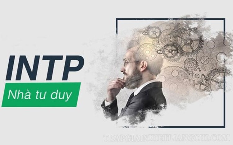 Khái niệm INTP là gì