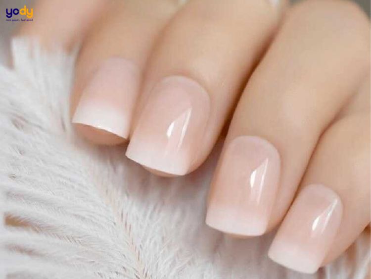 Mẫu nail sơn đầu móng trắng ombre