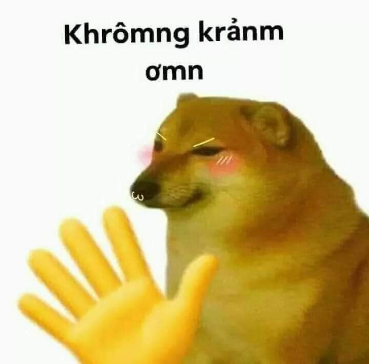 meme cảm ơn