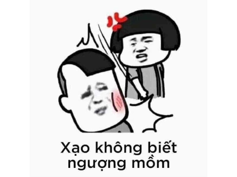 meme đánh nhau