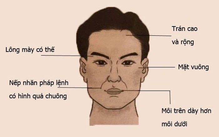 Nhân tướng học nam đoán vận mệnh, sự nghiệp, tình duyên