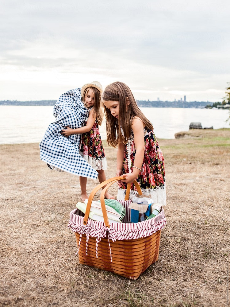 picnic là gì