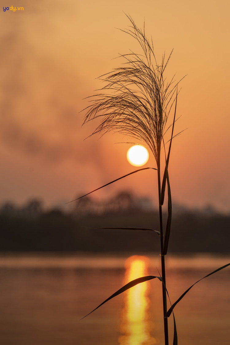 ảnh hoàng hồn chill buồn