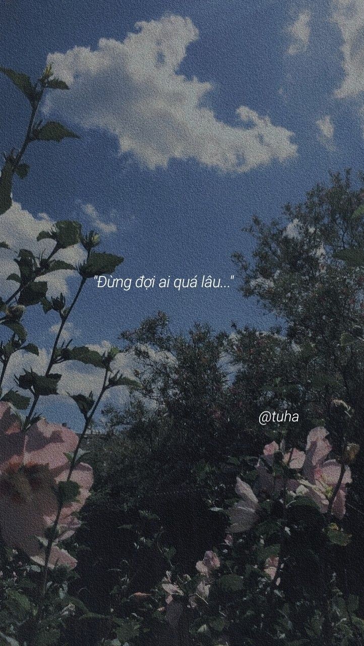 Ảnh chill buồn với câu "đừng đợi ai quá lâu"