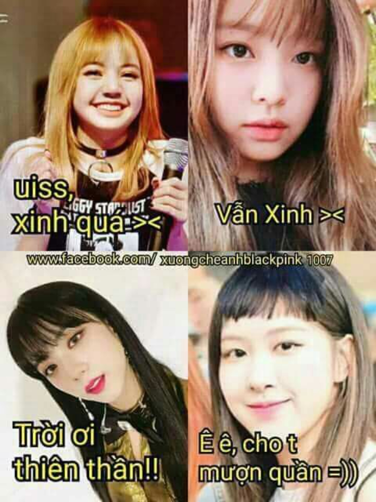 Ảnh dìm Blackpink mái ngố