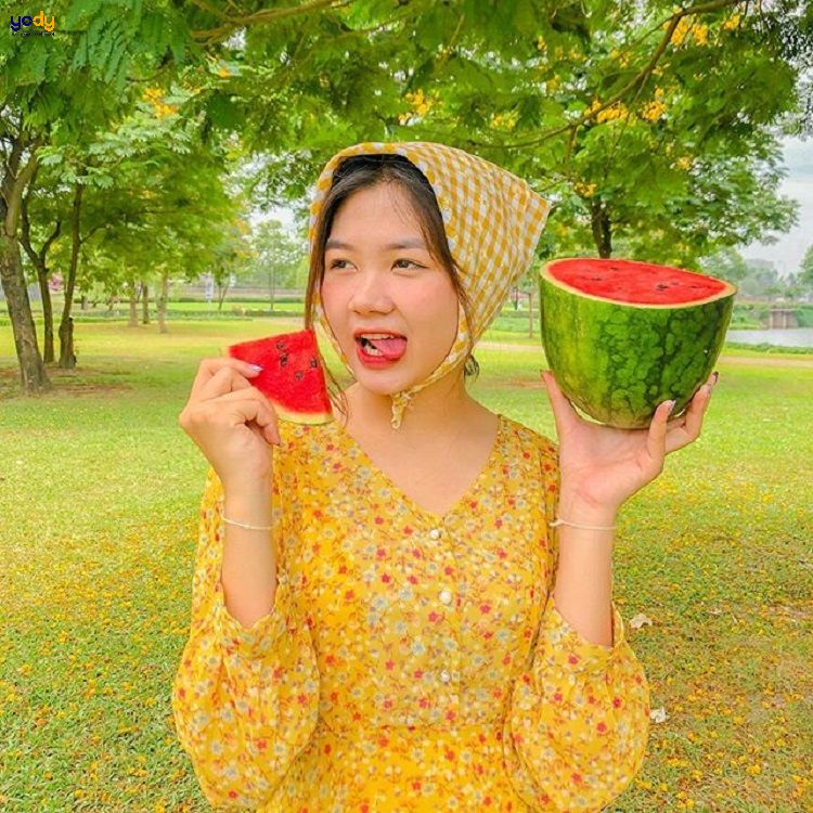 Chụp ảnh picnic khi thời tiết đẹp